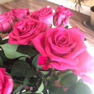 Meet your Posher, Kelly